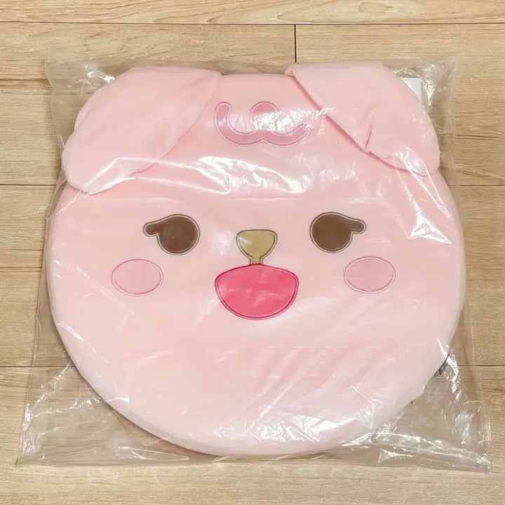 [BUNJANG] Day6 Petitmalz Cushion / 데이식스 쁘띠멀즈 방석 판매합니다
