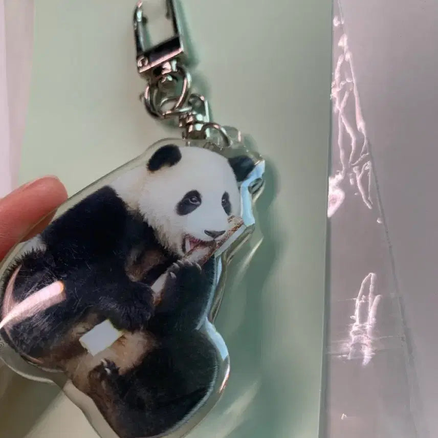 [BUNJANG] Everland Fu Bao Acrylic Keyring (Unsealed) / 푸바오 아크릴키링 일괄 (개봉)