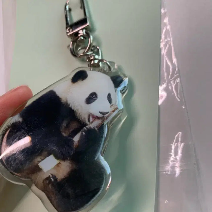 [BUNJANG] Everland Fu Bao Acrylic Keyring (Unsealed) / 푸바오 아크릴키링 일괄 (개봉)