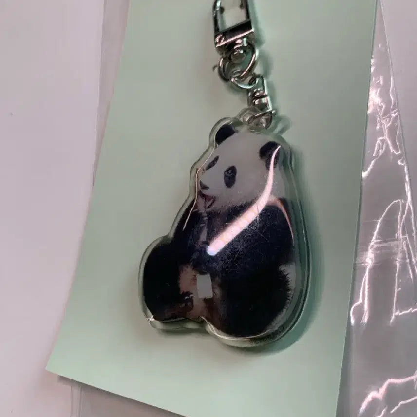[BUNJANG] Everland Fu Bao Acrylic Keyring (Unsealed) / 푸바오 아크릴키링 일괄 (개봉)