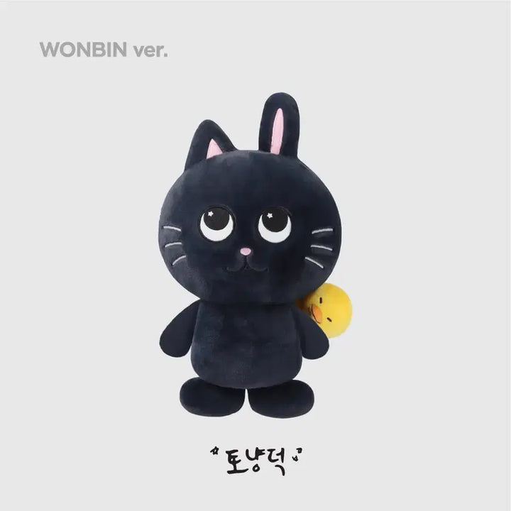 [BUNJANG] Tonyangdeok Wonbin 40cm Doll / 토냥덕 40cm 원빈 양도 라이즈