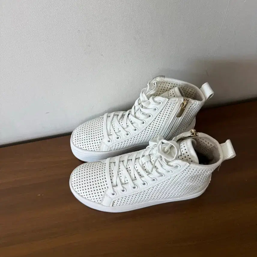 [SOLD OUT] 슈콤마보니 펀칭 스니커즈 365사이즈 운동화
