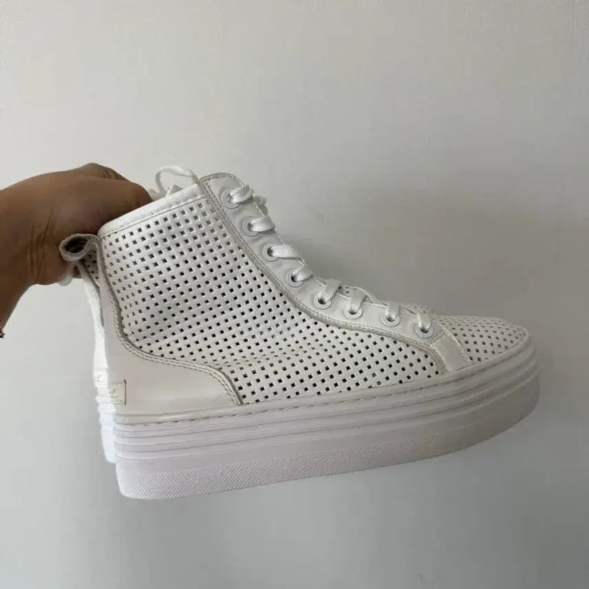 [SOLD OUT] 슈콤마보니 펀칭 스니커즈 365사이즈 운동화