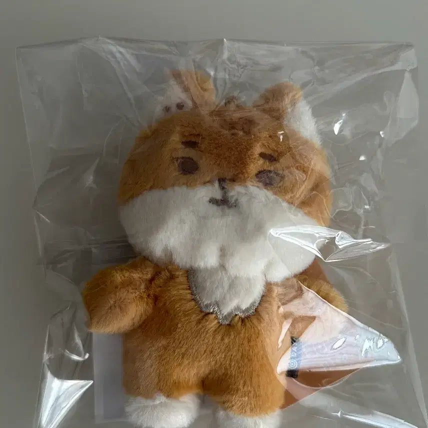 [BUNJANG] Pettit Muls K 24 Version / 쁘띠멀즈 케 24