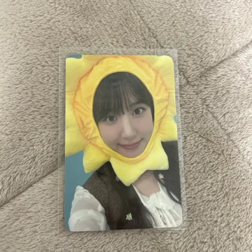 [SOLD OUT] 2024 박은빈 디바 콘서트 굿즈 포카