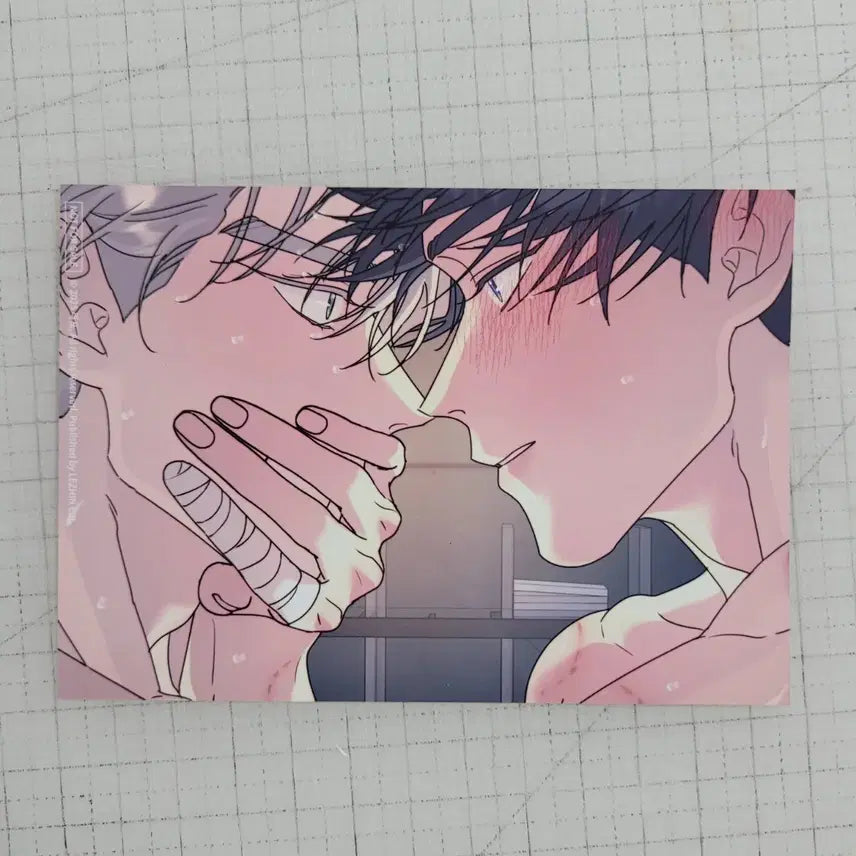 [BUNJANG] Roots Without Tree Printed Photo / 뿌리 없는 나무 인화사진 스킨십