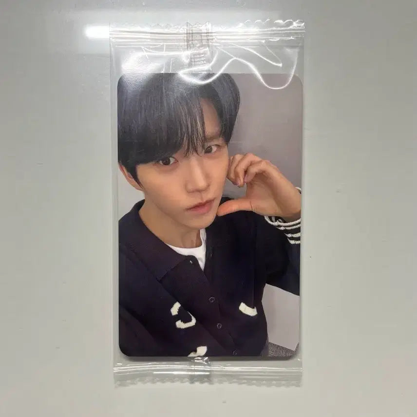 [SOLD OUT] 엔시티 위시 케타포 케이타운포유 재희 대영 미공포 영통 포카 양도