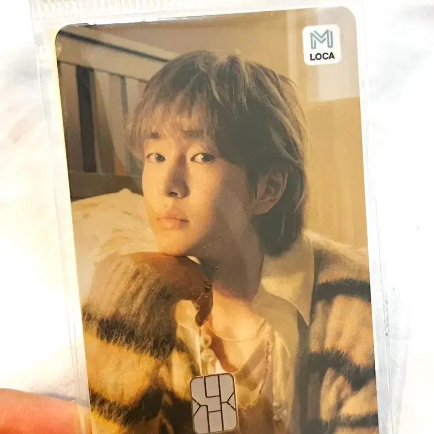 [BUNJANG] SHINee ONEW LOCA M Transportation Card / 샤이니 온유 진기 LOCA M 교통카드