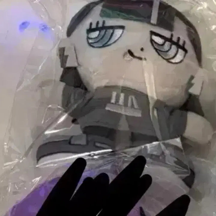 [SOLD OUT] 즛토마요  깜부 누이 인형