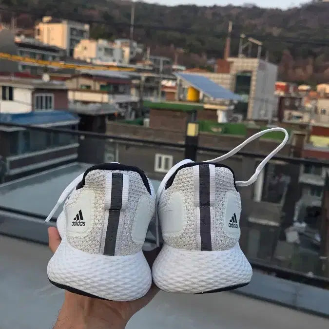 [BUNJANG] Adidas Running Shoes White 260 / 아디다스 러닝화 화이트 260