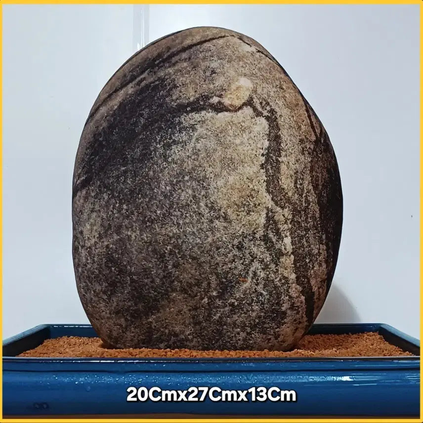 [BUNJANG] Moon Stone Landscape Stone / 월석