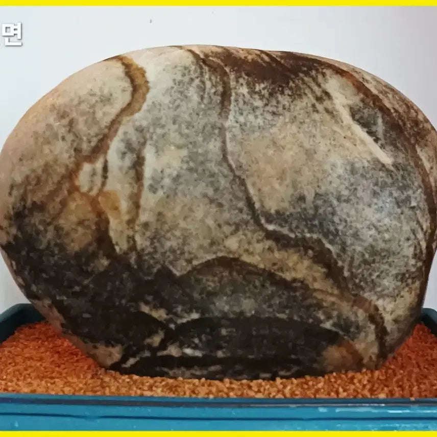 [BUNJANG] Moon Stone Landscape Stone / 월석