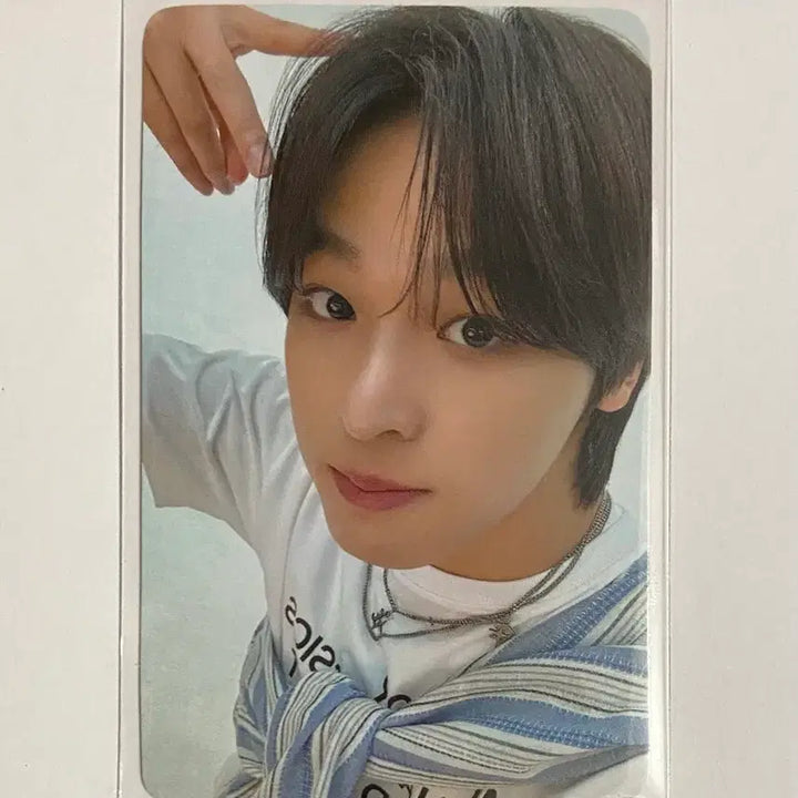 [BUNJANG] NCT WISH Riku Curi Pochett Photocard Pouch / 엔시티 위시 리쿠 쿠리 포쉐트 포셰트 파우치 포토카드 포마시세 이하