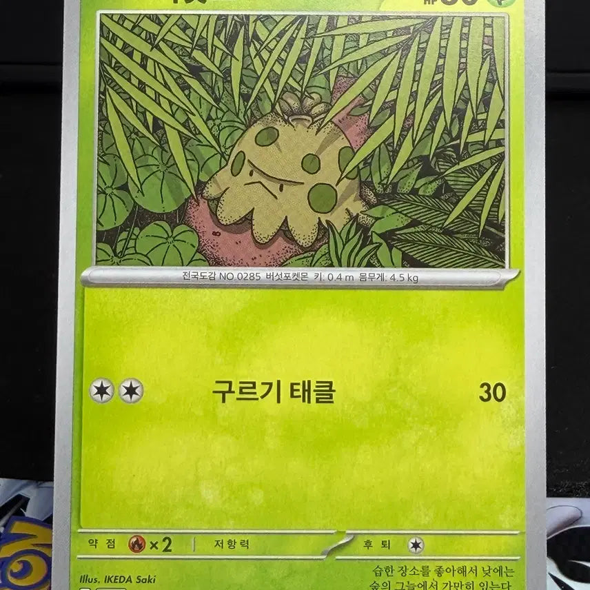 [BUNJANG] 버섯꼬 일반 카드 A급 [200원] / 버섯꼬 일반 카드 A급 [200원]