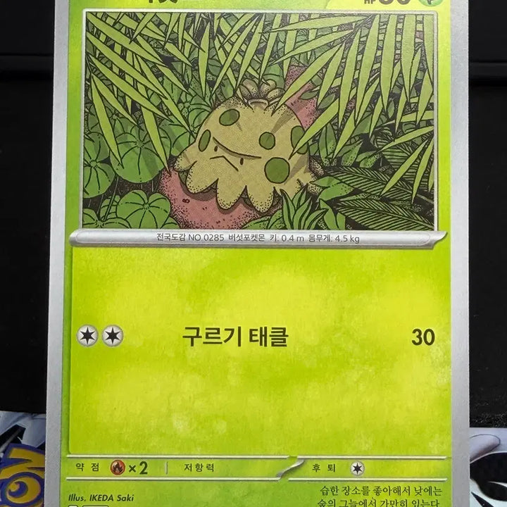 [BUNJANG] 버섯꼬 일반 카드 A급 [200원] / 버섯꼬 일반 카드 A급 [200원]