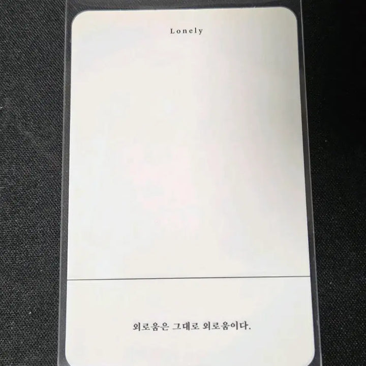 [BUNJANG] SHINee Jonghyun Album Photocard / 샤이니 김종현 소품집 앨포