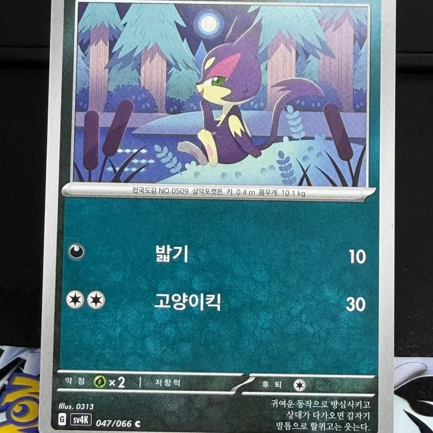 [BUNJANG] Saebinyang General Card A Grade / 쌔비냥 일반 카드 A급 [200원]