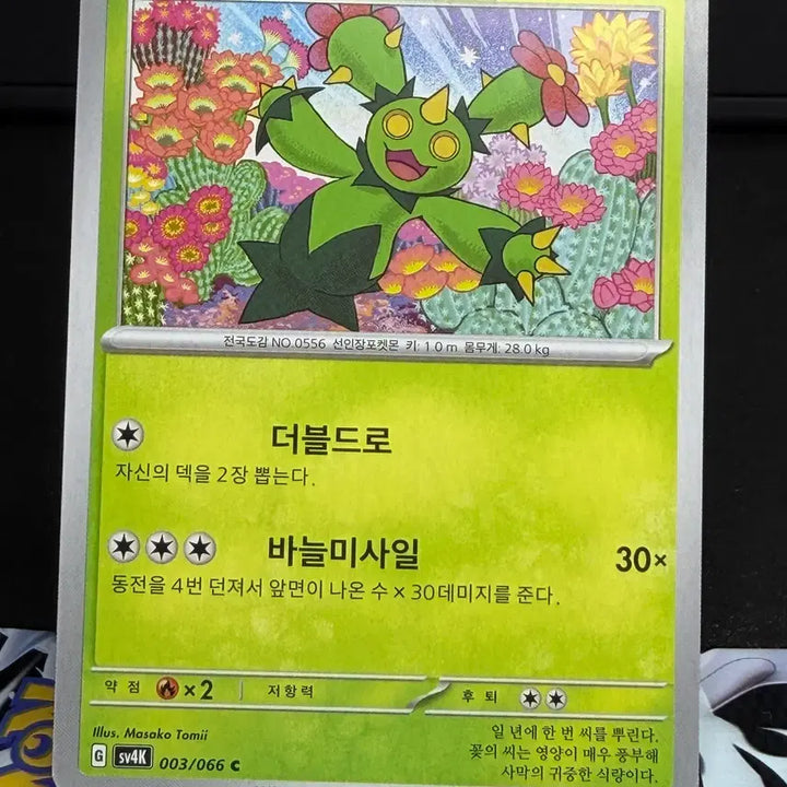 [BUNJANG] Maracachi Trading Card A-Grade / 마라카치 일반 카드 A급 [200원]