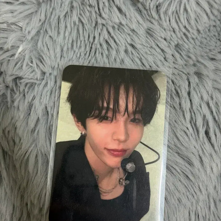 [SOLD OUT] 라이즈 쇼타로 포카 미국 뉴욕 케이팝나라 럭드