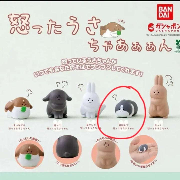 [BUNJANG] Angry Rabbit Gacha Figure / 화난 토끼 가챠 얼룩 더치 엎드린 째릿 삐진 동물 피규어 캡슐토이