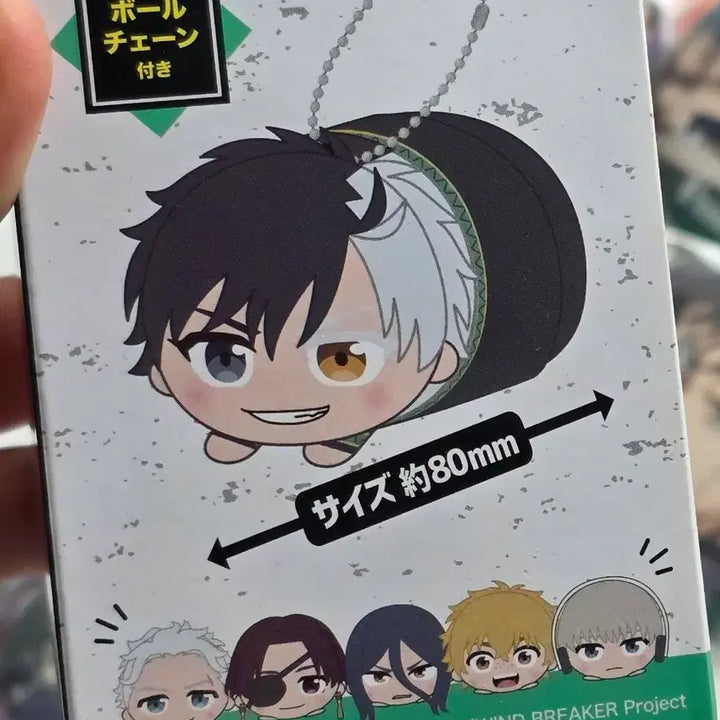 [BUNJANG] Wind Breaker Suoh Hayato Doll / 윈드 브레이커 스오 하야토