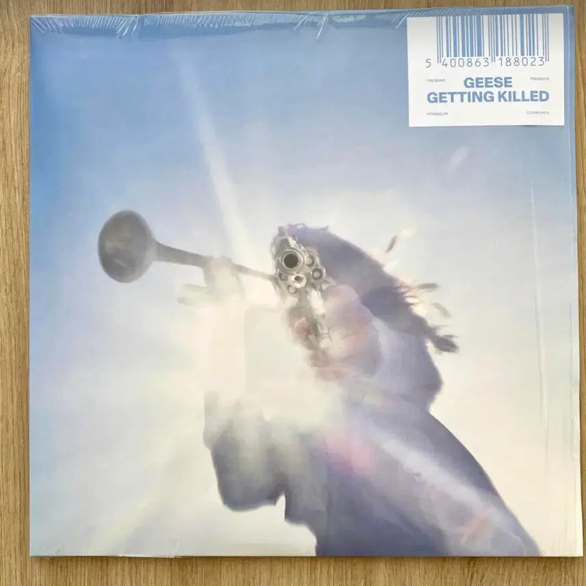 [BUNJANG] Geese Getting Killed LP Clear Vinyl / Geese Getting Killed LP 클리어 미개봉