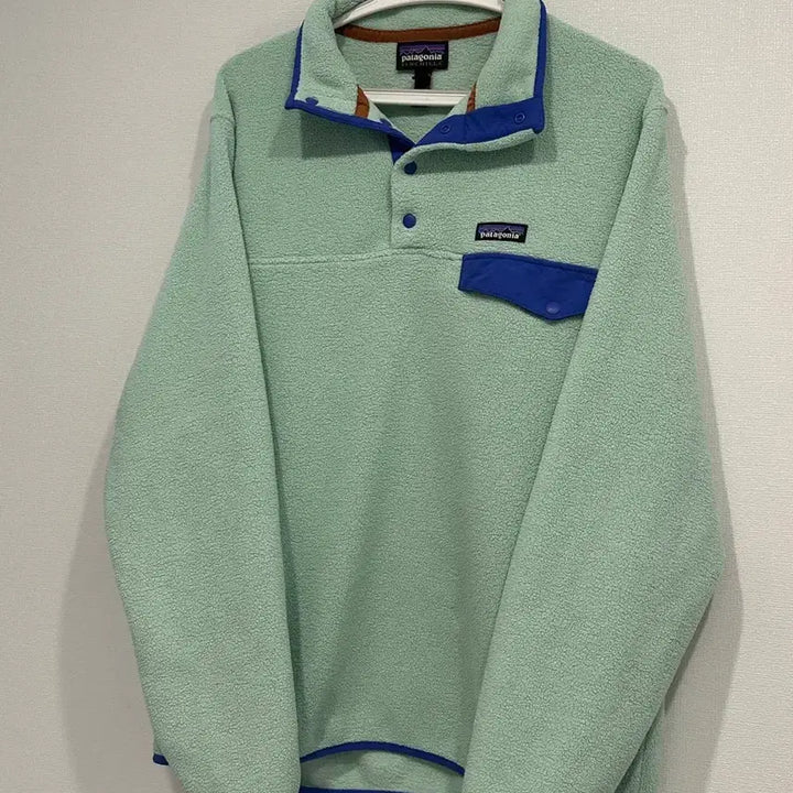 [BUNJANG] Patagonia Synchilla Recycled Fleece Pullover / 파타고니아 신칠라 린스드 그린 민트 L