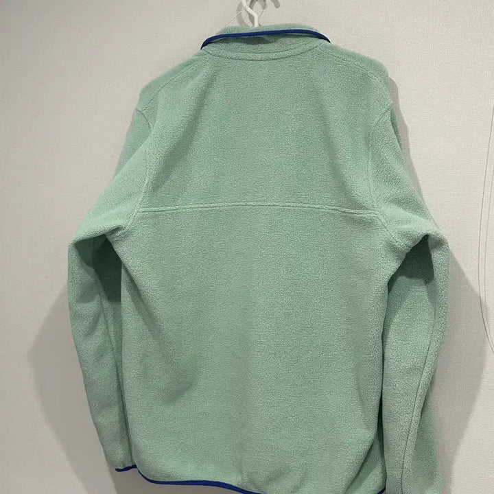 [BUNJANG] Patagonia Synchilla Recycled Fleece Pullover / 파타고니아 신칠라 린스드 그린 민트 L