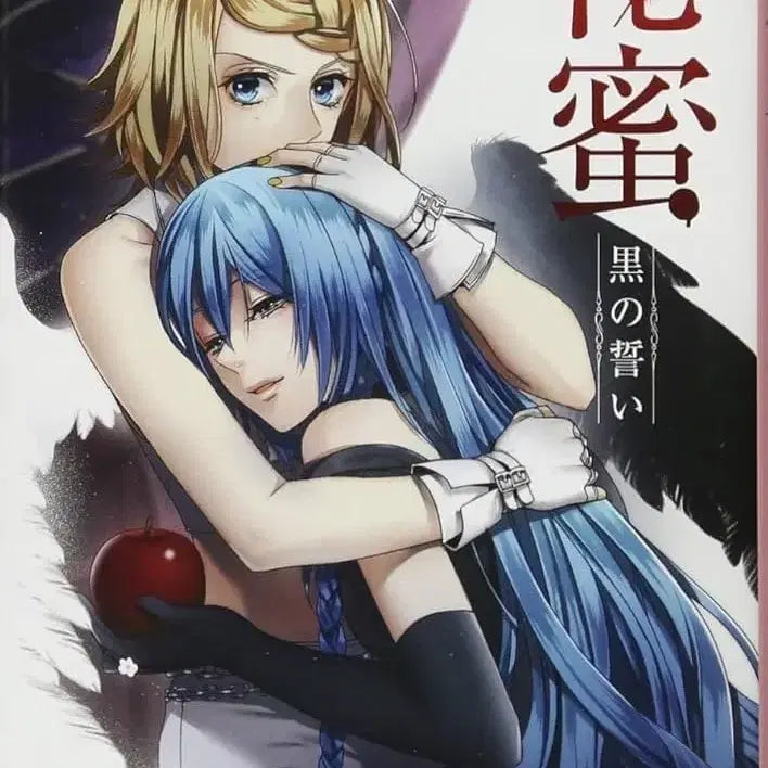 [BUNJANG] Kagamine Len Kaito Collection Card Sealed / 미개봉) 미쿠 카가미네 카이토 콜렉션 카드