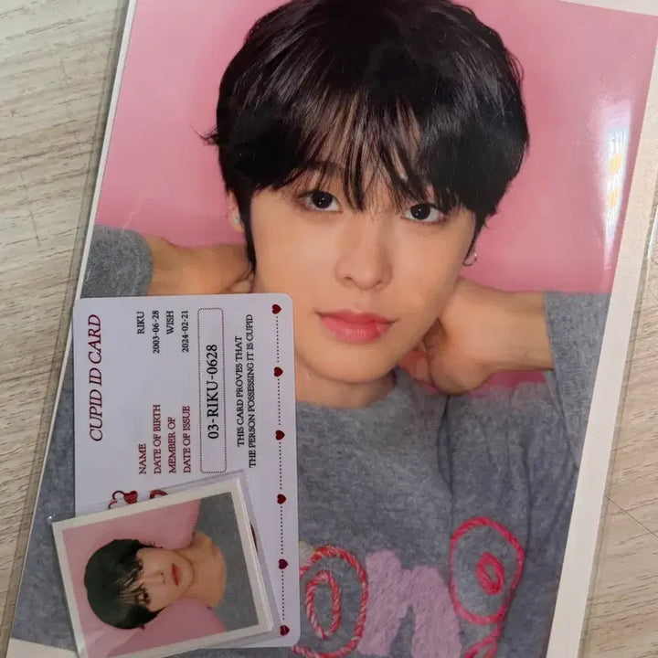 [BUNJANG] NCT WISH Riku Photo Set POB / 엔시티 위시 스테디 팝업 리쿠 포토세트 증사 미개봉 양도