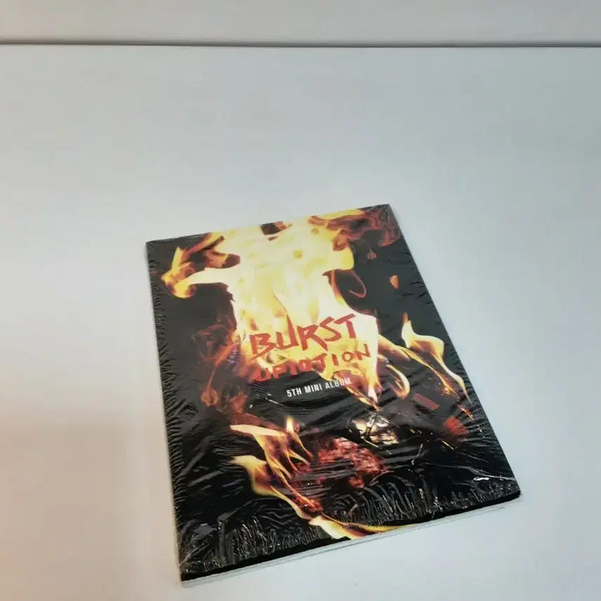 [BUNJANG] Burst 5th Mini Album / 버스트 Burst 5th 미니앨범