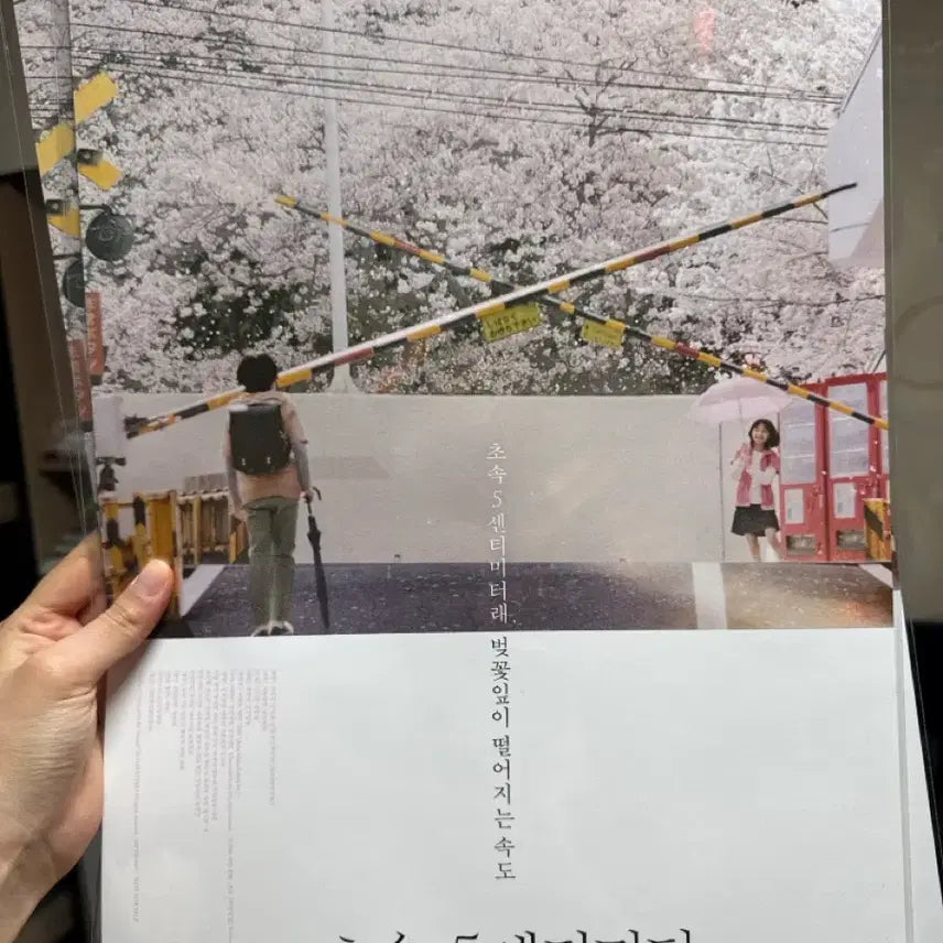 [BUNJANG] 5 Centimeters Per Second Poster / 초속5센티미터 포스터