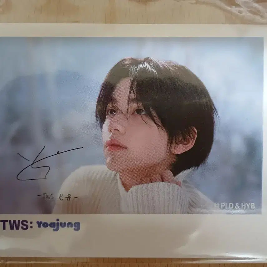 [SOLD OUT] 요아정 투어스 신유 폴라