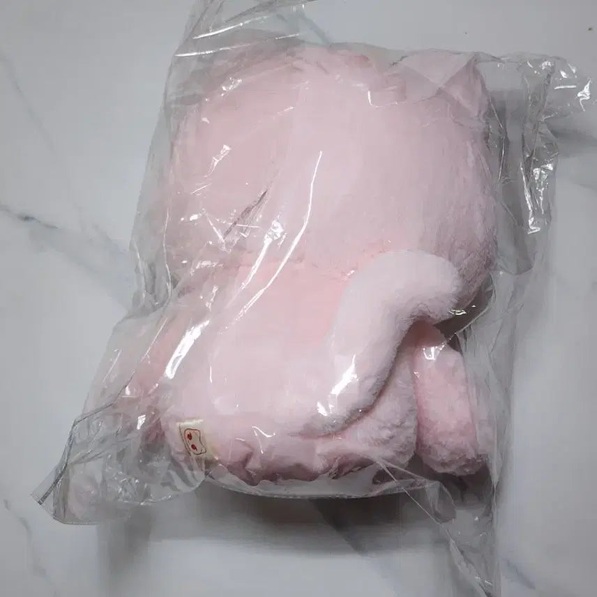[SOLD OUT] 왕젤냥이 48cm