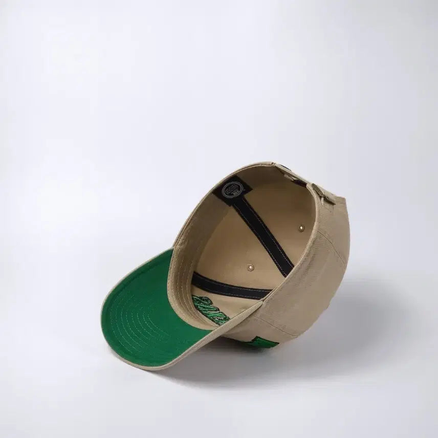 [BUNJANG] NCAA North Texas Mean Green Ball Cap / 47 NCAA 노스 텍사스 민 그린 볼캡 모자