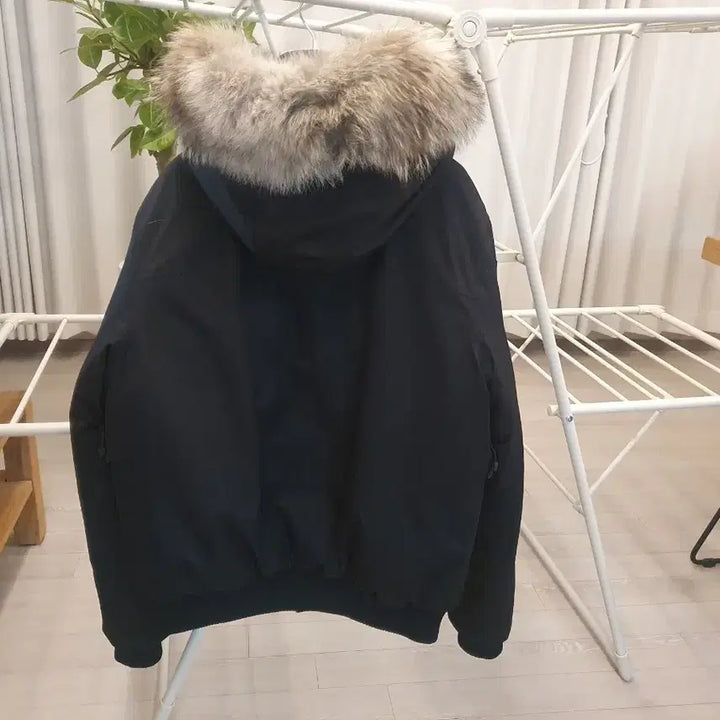 [BUNJANG] Novis Dylan Hooded Bomber Black XL / (XL) 상태 최상급 노비스 딜런 후드 봄버 블랙
