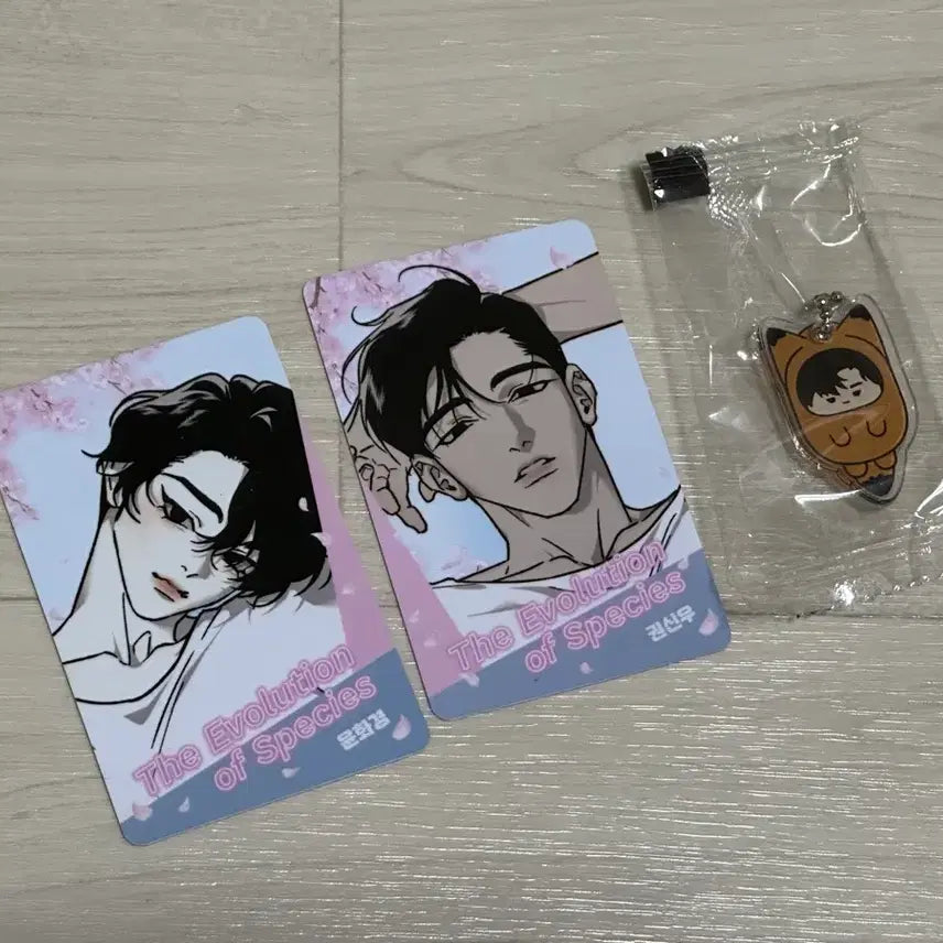 [BUNJANG] NOCTIA Jongjin Evolution Photocard + Keyring Set / 녹티아 종의진화 포카 키링 세트