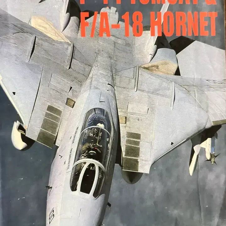 [BUNJANG] F-14 Tomcat &amp; F/A-18 Hornet Photo Album (1999) / (희귀화보)F-14 톰캣 F/A-18 호넷 화보집 (1999년 출간)