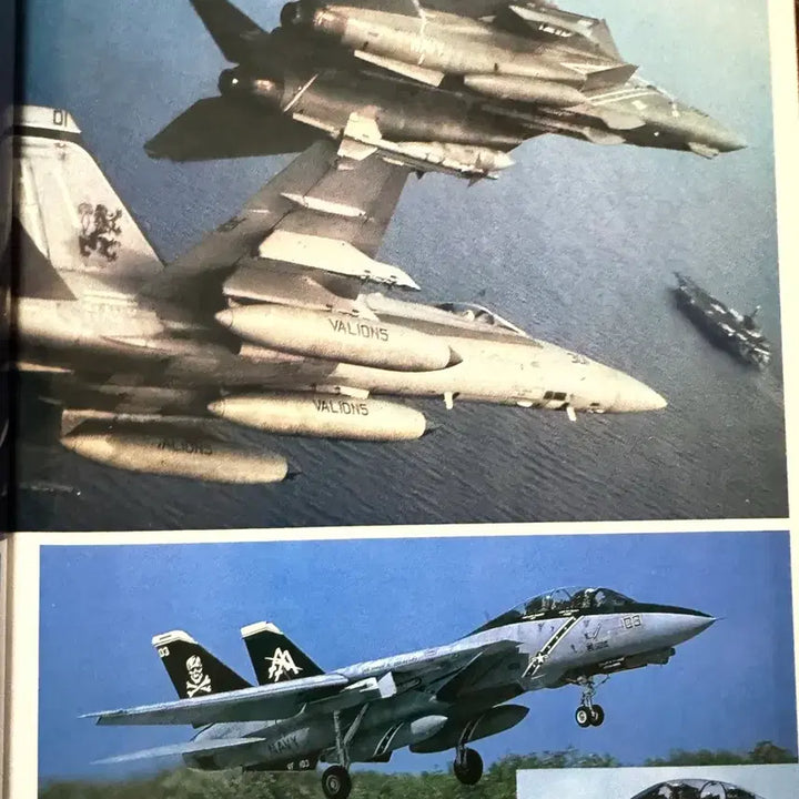 [BUNJANG] F-14 Tomcat &amp; F/A-18 Hornet Photo Album (1999) / (희귀화보)F-14 톰캣 F/A-18 호넷 화보집 (1999년 출간)