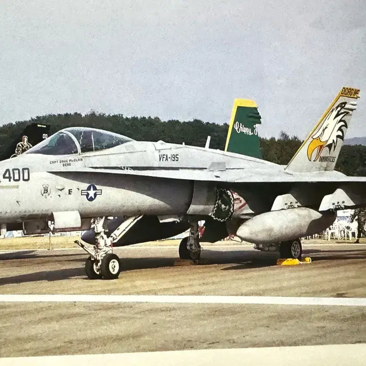 [BUNJANG] F-14 Tomcat &amp; F/A-18 Hornet Photo Album (1999) / (희귀화보)F-14 톰캣 F/A-18 호넷 화보집 (1999년 출간)