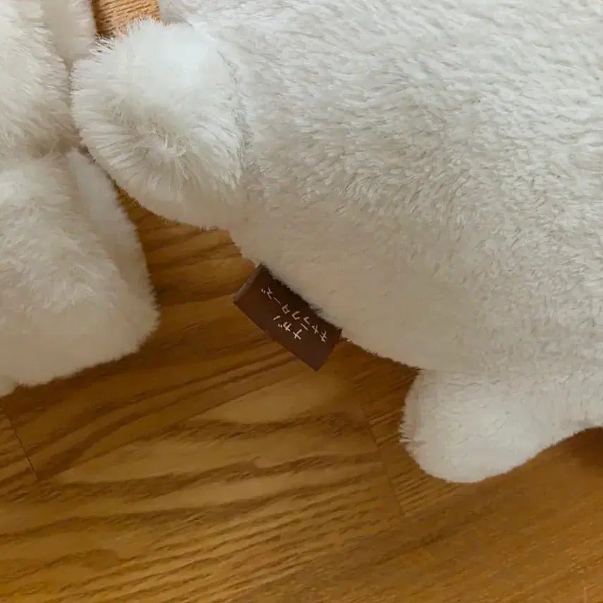 [BUNJANG] Nongdamgom Kuji B Prize Bundle Set / 농담곰 쿠지 b상 + 일괄(5/15 까지 급전 할인)
