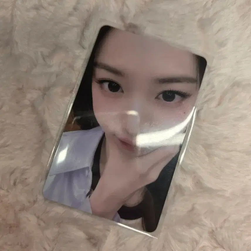 [BUNJANG] IVE Wonyoung Photocard / 얼빡원영 포토카드 아이브장원영