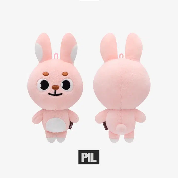 [BUNJANG] Demerfill 2020 Version Item / 2020 데멀필끼