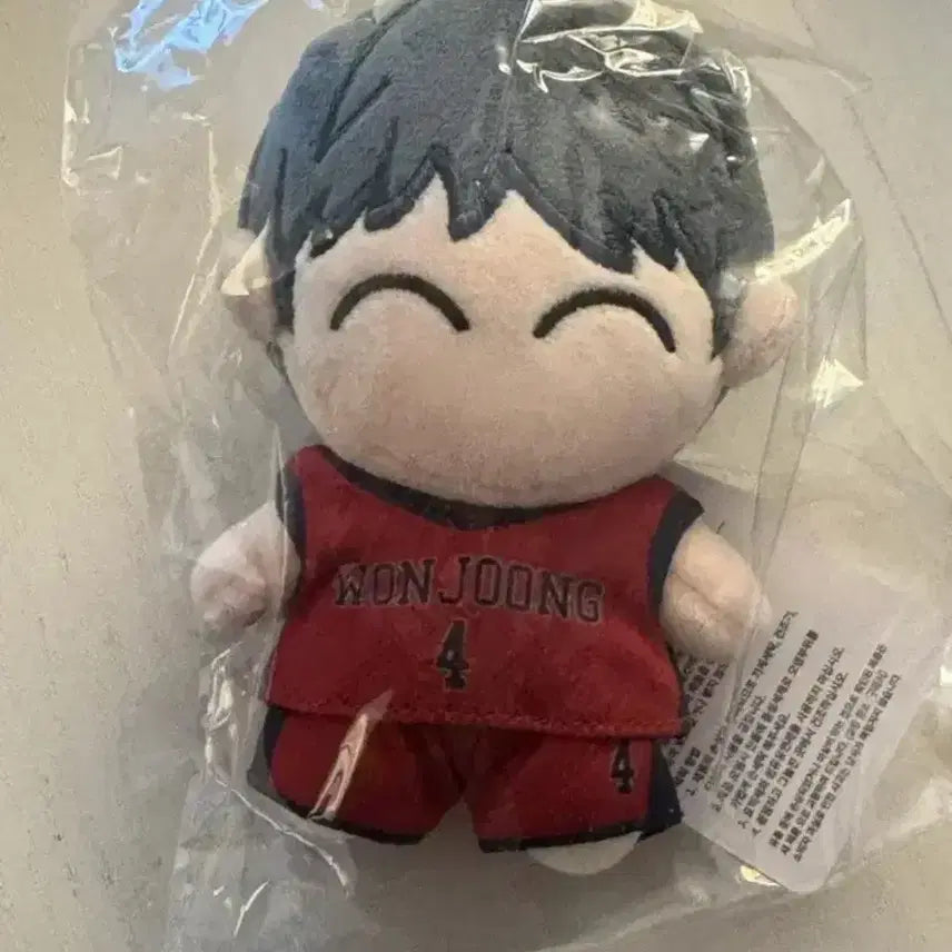 [BUNJANG] Garbataime Jeon Young-joong Plush Doll / 미개봉) 가비지타임 전영중 작뿡 인형