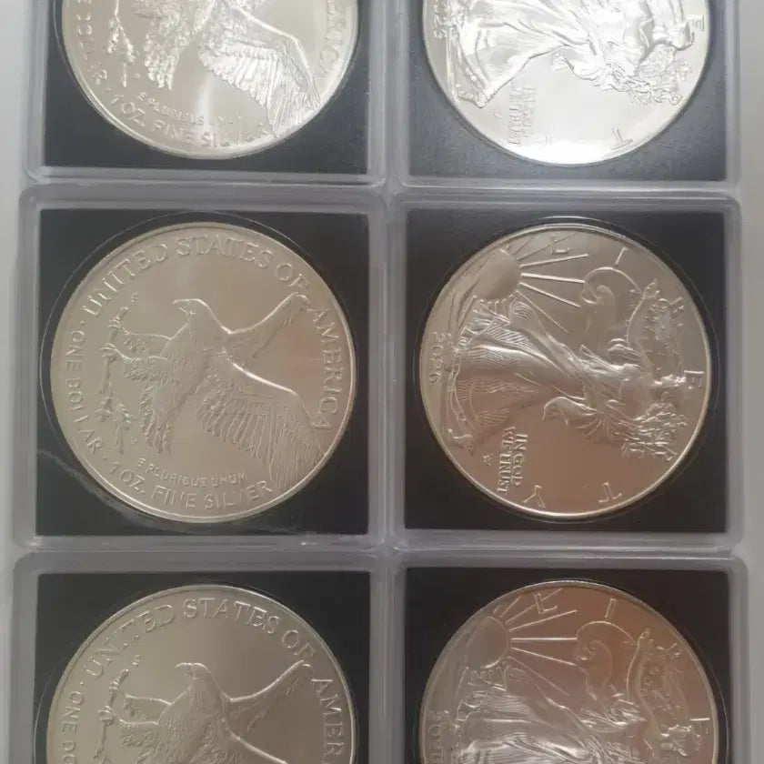 [BUNJANG] American Silver Eagle 1oz 999 Fine Silver Coin / 은화1온스/무배,랜덤선물/미국 실버 이글/999파인실버
