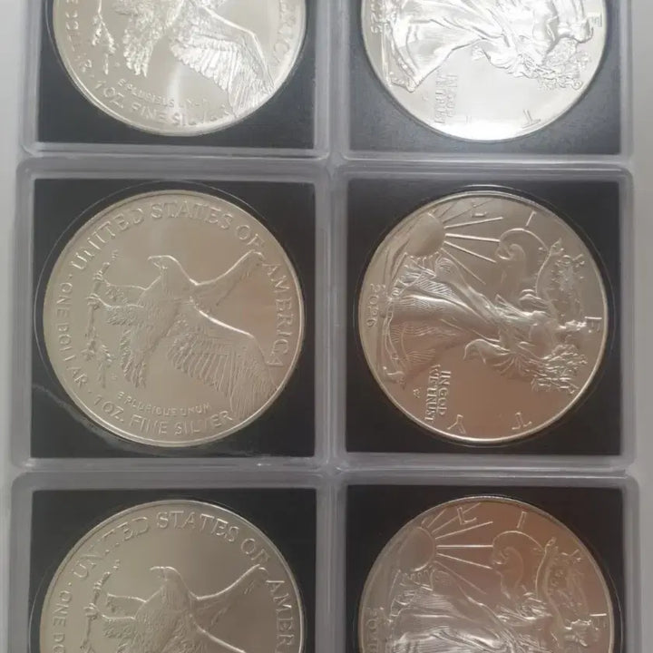 [BUNJANG] American Silver Eagle 1oz 999 Fine Silver Coin / 은화1온스/무배,랜덤선물/미국 실버 이글/999파인실버