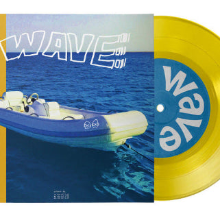 [SOLD OUT] 검정치마, 태연, wave to earth lp 일괄판매