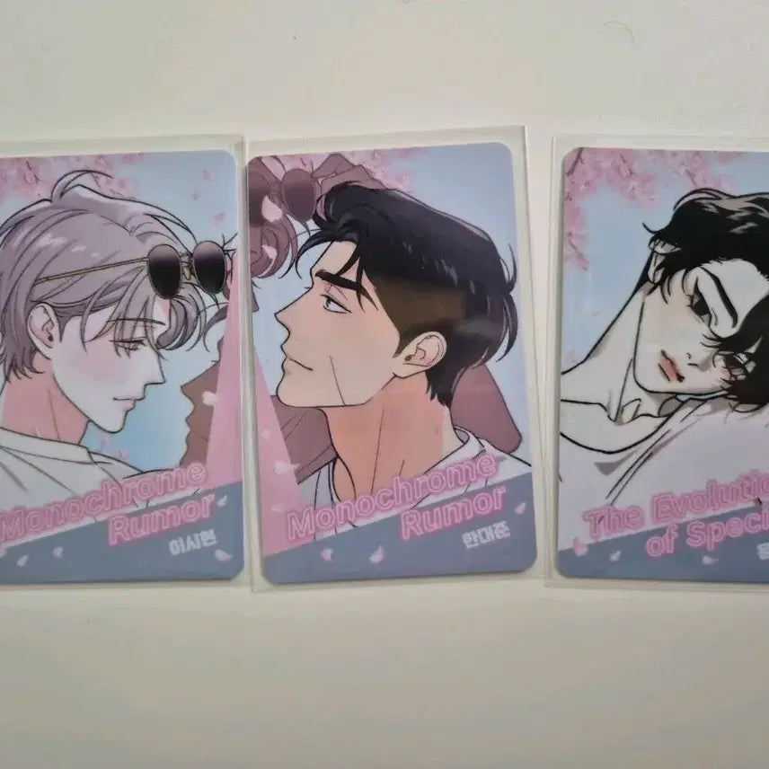 [BUNJANG] Monochrome Rumor Jongui Jinhwa Photocard Bundle Set / 모노크롬루머/종의진화 카드 3장 일괄