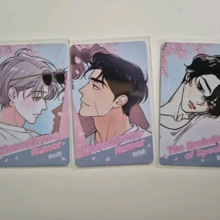 [BUNJANG] Monochrome Rumor Jongui Jinhwa Photocard Bundle Set / 모노크롬루머/종의진화 카드 3장 일괄