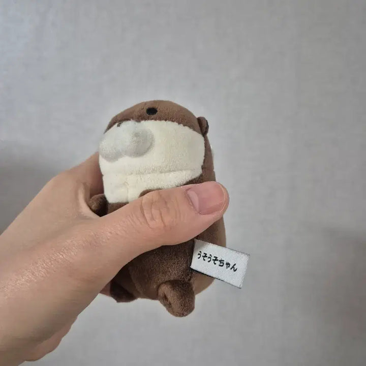 [BUNJANG] Otter Brown Plush Keyring / 수달 인형 키링 브라운 봉제인형